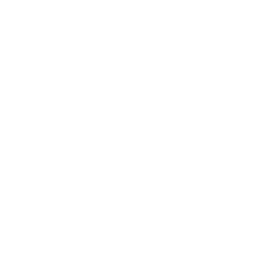 100% Transparency