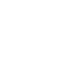 Career Advancement